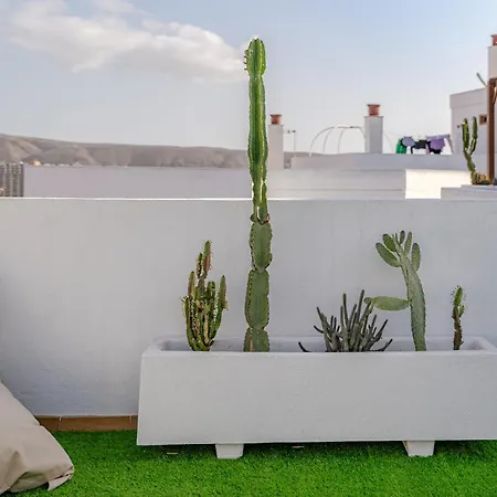 Balcon De Chayofita * Лос Кристианос